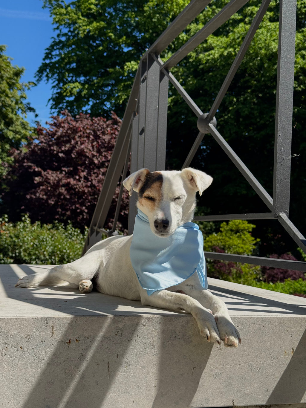 Silk Scarves from Lake Como