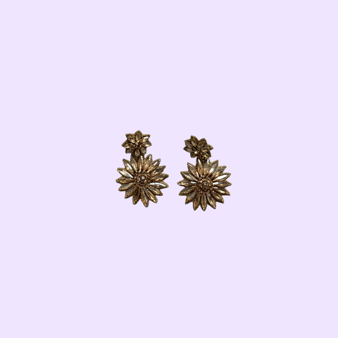 Special Earrings